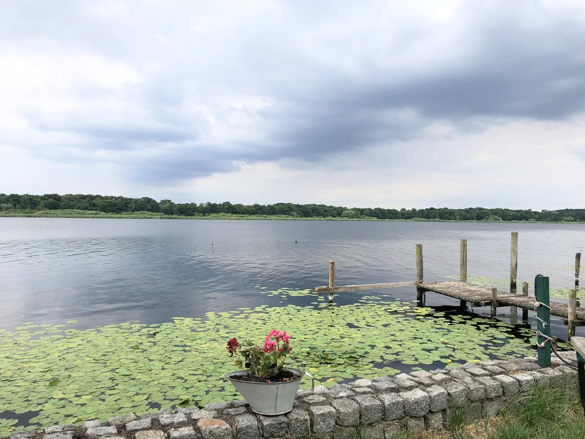 Ferienwohnung Auf Der Insel Werder  Exteriör bild